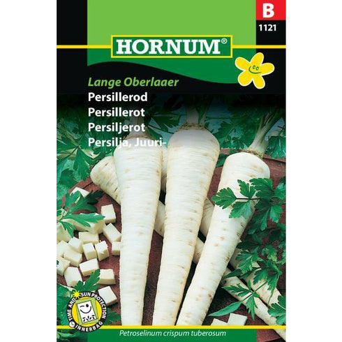 Parsley root